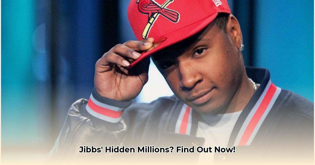jibbs-net-worth
